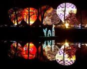 Light Up Middletown